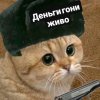 Иконка канала Тамилов Тимофей По ЧГ