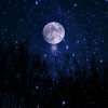Иконка канала Lune