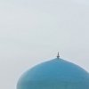 Иконка канала Uzbekistan online