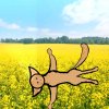 Иконка канала Рыжее крыло