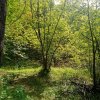 Иконка канала Павлов Владимир