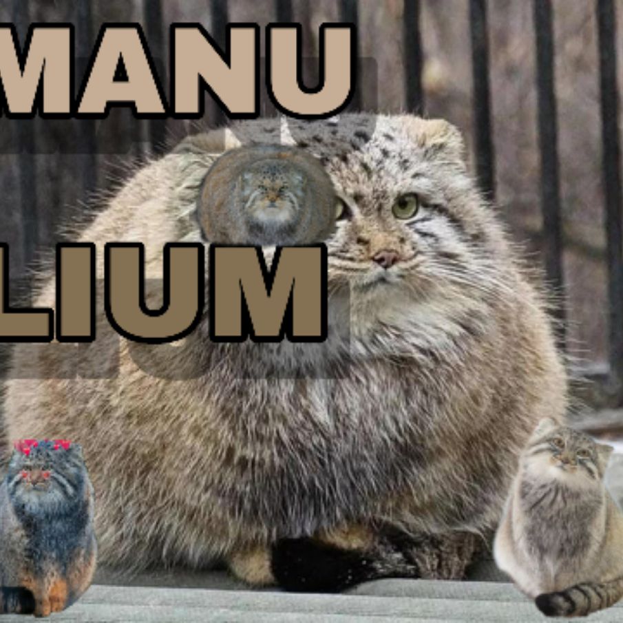 Иконка канала MANULIUM