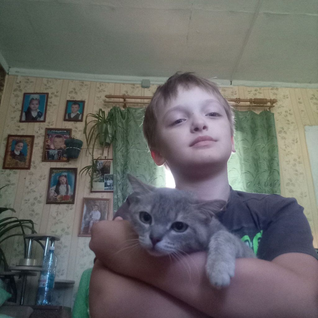Аватар автора