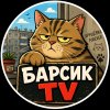 Иконка канала барсик  TV