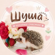 Иконка канала Ёжик Шуша