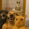 Иконка канала Пустыный медведь😀😀