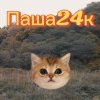 Иконка канала Паша24к