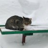 Иконка канала Саша Чертюга