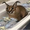 Иконка канала ШЛЕПА И ХРЕНОБУС