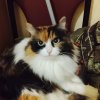 Иконка канала channel29285941