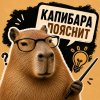 Иконка канала КАПИБАЗА