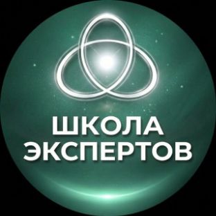 Иконка канала ШКОЛА ЭКСПЕРТОВ