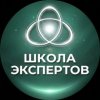Иконка канала ШКОЛА ЭКСПЕРТОВ