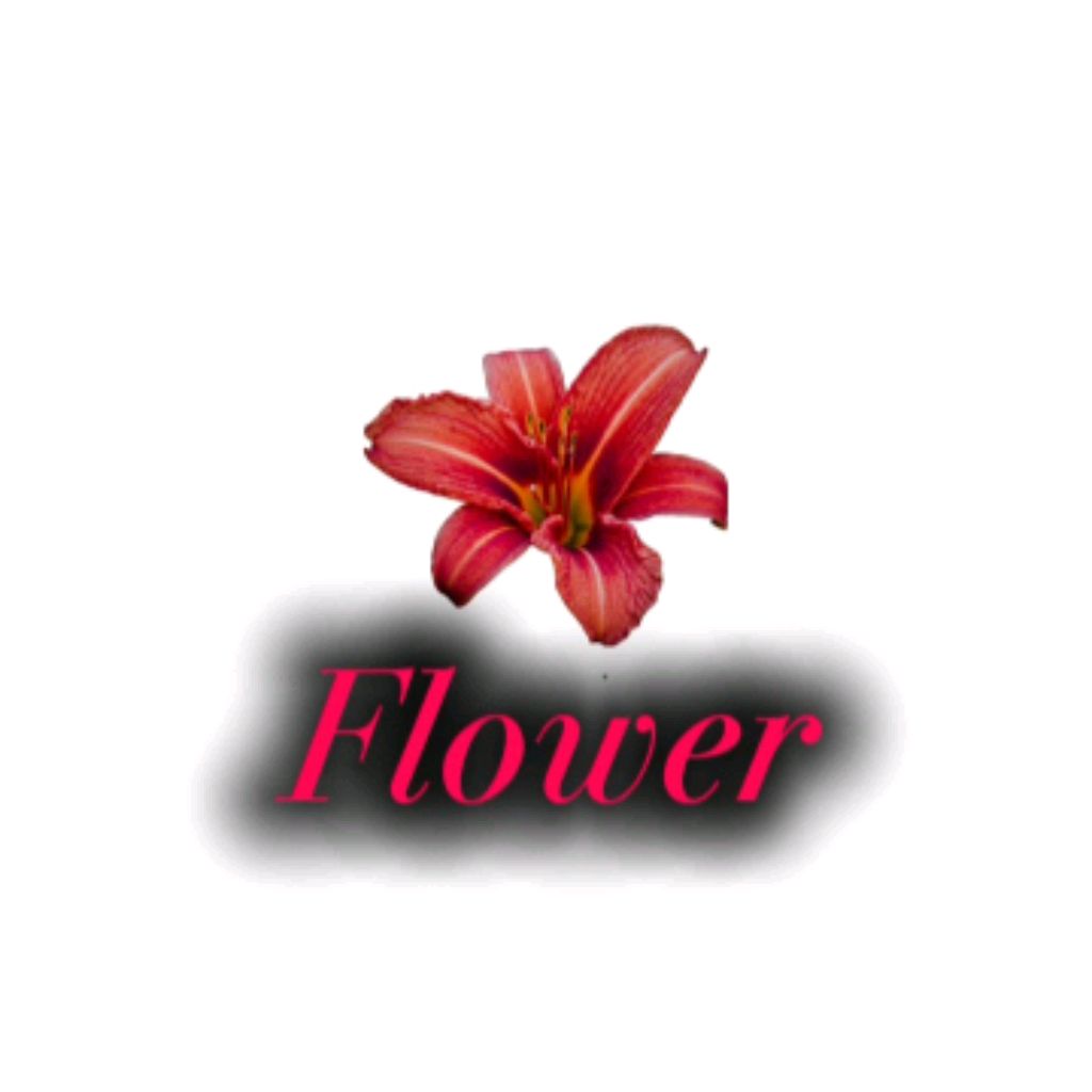 Иконка канала Алиса Flower