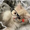 Иконка канала #.𝙻𝚎𝚜𝚢𝚊 𝚏𝚊𝚖𝚒𝚕𝚢 𝚊𝚠
