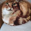Иконка канала Ярик  Играрик