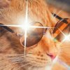 Иконка канала Maksimus_PRO