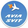Иконка канала AVIA SVIT Реконструкции Авиакатастроф