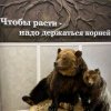 Иконка канала Zxc