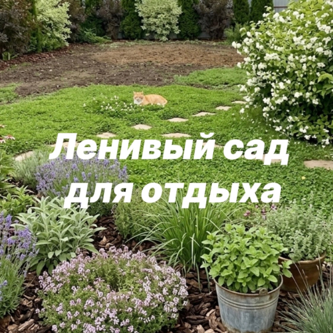 Иконка канала Ленивый сад