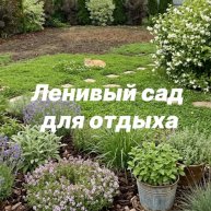 Иконка канала Ленивый сад