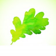 Иконка канала Lago Verde