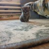 Иконка канала Дмитрий Дресвянский