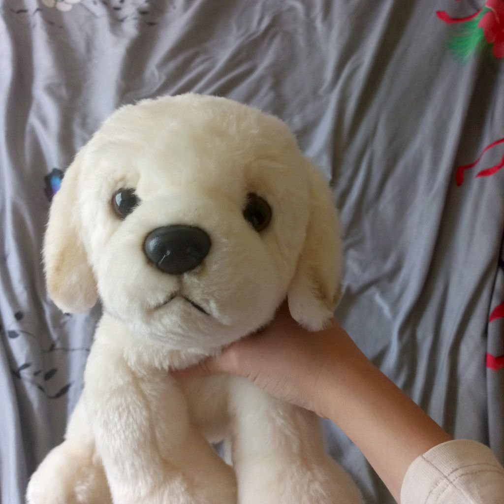 Иконка канала ~♡DogCuty♡~