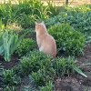 Иконка канала трудовыебудни