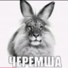 Иконка канала Мемная рутуберская Черемша Официал (Мой прайм зако