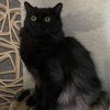Иконка канала Жизнь Коти и Натахи