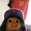 Иконка канала КОШАЧИЙ ЗАМЕС!