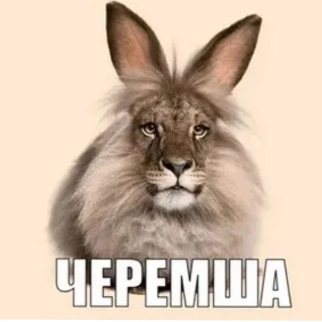 Иконка канала channel79085064
