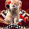 Иконка канала HATER THE CAT