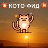 Иконка канала 🐱💥КОТО ФИД💥🐱