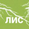 Иконка канала ЛИС : игры