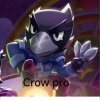 Иконка канала Crow Pro