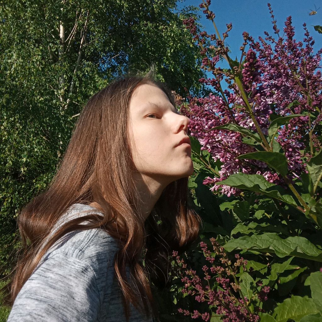 Аватар автора