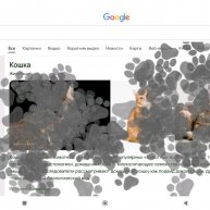 Иконка канала Кот и жизнь