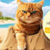 Иконка канала НейроМульт61