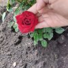Иконка канала Полина-звезда