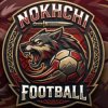 Иконка канала Nokchi Football
