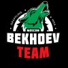 Иконка канала bekhoev team