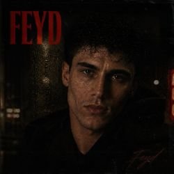 Иконка канала Feyd