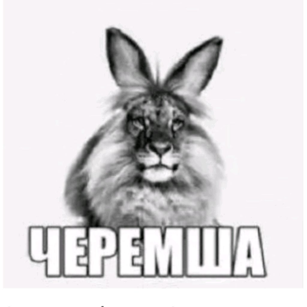 Иконка канала Михалыч Дома