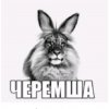 Иконка канала Михалыч Дома