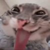 Иконка канала ه تFREEZERت ه