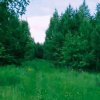Иконка канала Данил
