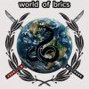 Иконка канала world of brics