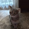 Иконка канала Путешествуем по Уралу